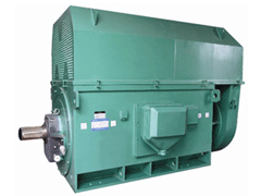 YR630-10/1180Y系列6KV高压电机